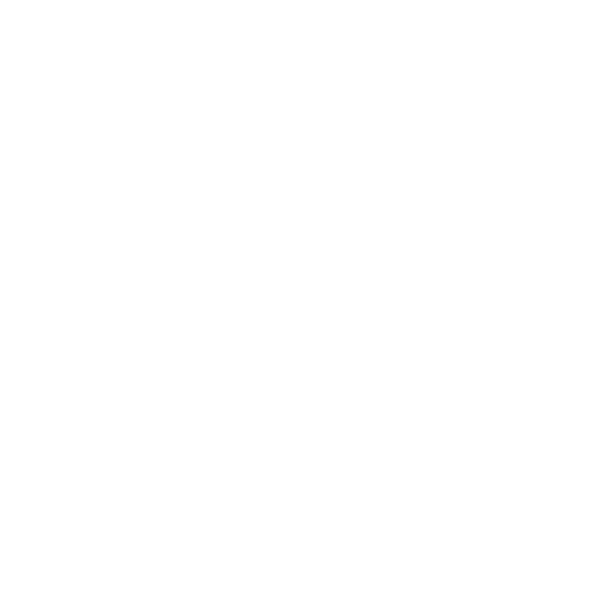 Magnifying Glass Icon